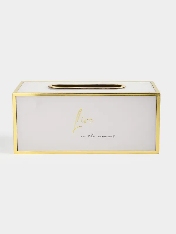 Қағаз майлықтарға арналған қорап, 24х13 см, пластик/шыны, сүт-алтын түстес, Live, Fardella, image-0