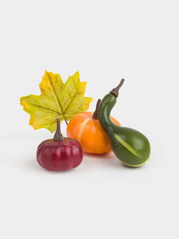 Декоративтік жиынтық, 13х30 см, торда, пенопласт, Шырша бүршіктері мен жапырақтары бар асқабақтар, Autumn fusion, image-2