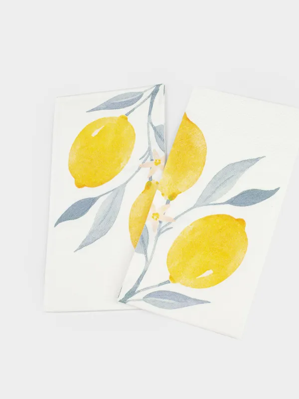 Салфетки бумажные, 33х33 см, 20 шт, Sicily, image-2