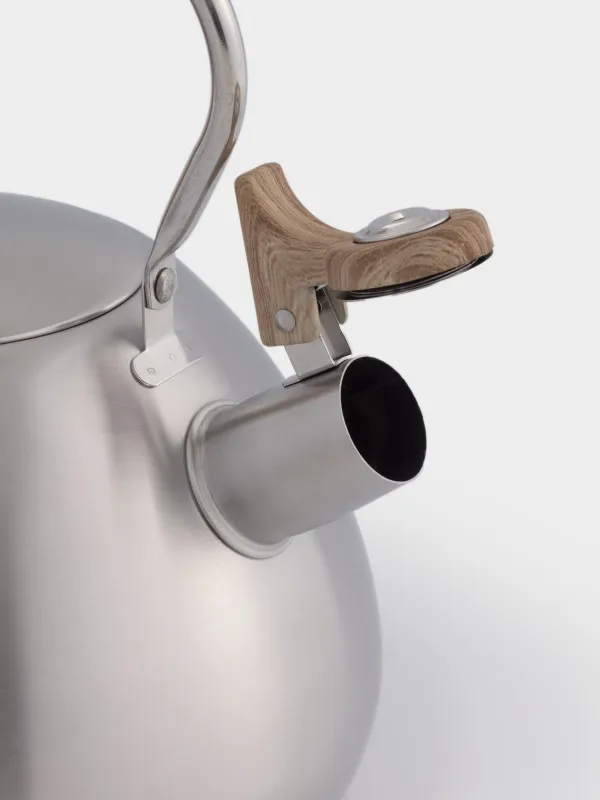 Чайник, 3,4 л, со свистком, сталь/нейлон, бежевый/матовый, Whistle, image-3