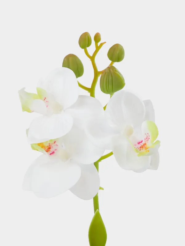 Жасанды өсімдік, 22 см, құмырада, термопластикалық резеңке/керамика, Ақ орхидея, Orchid, image-2