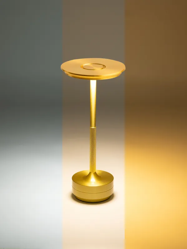 Светильник сенсорный, 28 см, беспроводной, металл/пластик, золотистый, Fantastic gold, image-3