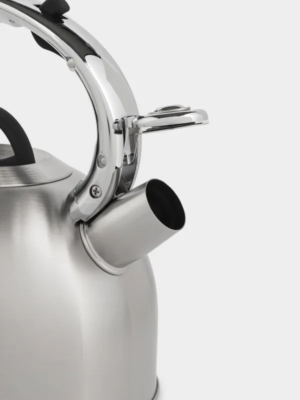 Чайник, 2,8 л, со свистком, сталь, матовый, Whistle, image-4