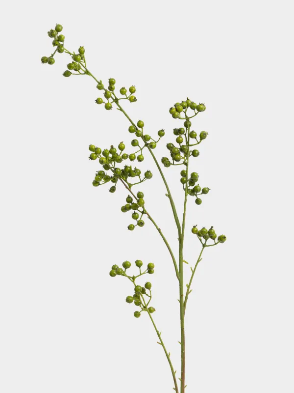 Сәндік бұтақ, 1 м, пенопласт/пластик, Жасыл жидектер, Balls decor, image-1