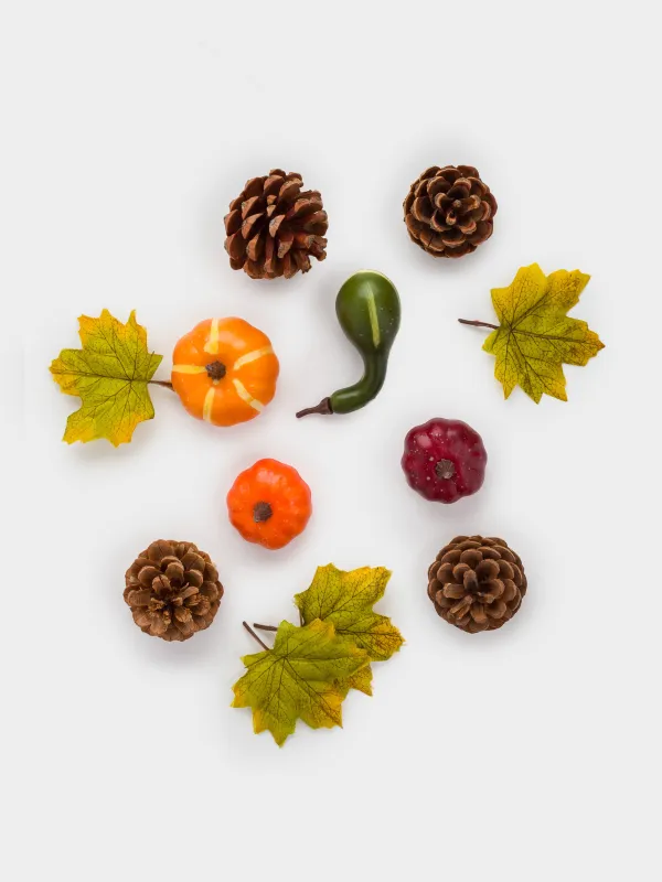 Декоративтік жиынтық, 13х30 см, торда, пенопласт, Шырша бүршіктері мен жапырақтары бар асқабақтар, Autumn fusion, image-0