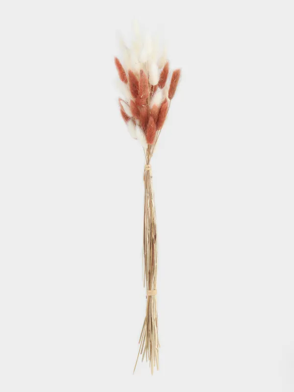 Букет декоративный, 60 см, сухоцветы, бежевый/белый, Колоски, Dried flower, image-0