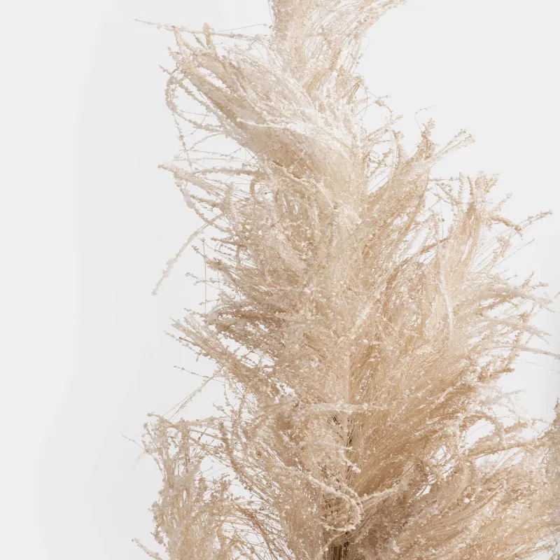 Сәндік бұтақ, 1 м, полиэстер/қағаз, Пампа шөбі, Meadow decor, image-3
