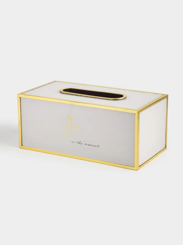 Қағаз майлықтарға арналған қорап, 24х13 см, пластик/шыны, сүт-алтын түстес, Live, Fardella, image-1