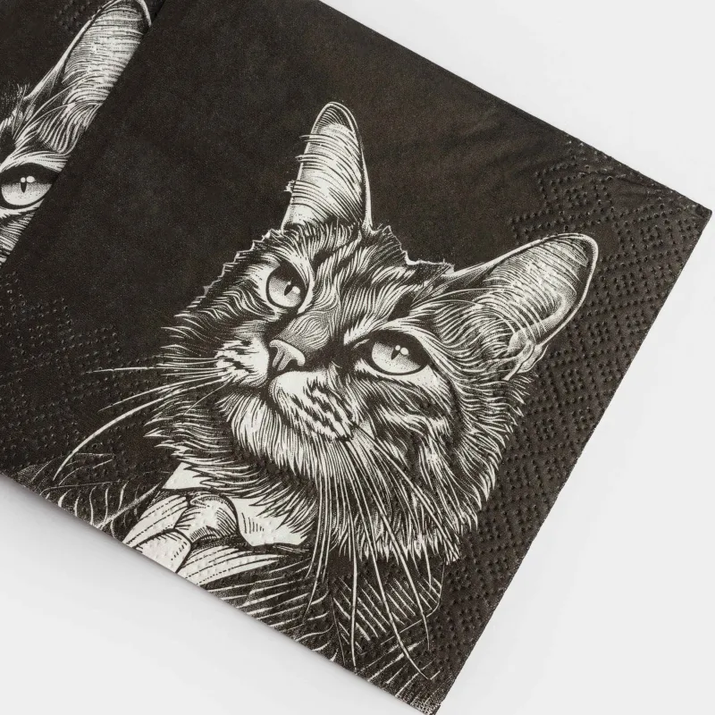 Қағаз майлықтар, 21х21 см, 20 дана, төртбұрышты, қара, Костюмдегі мысық, Cat, image-4