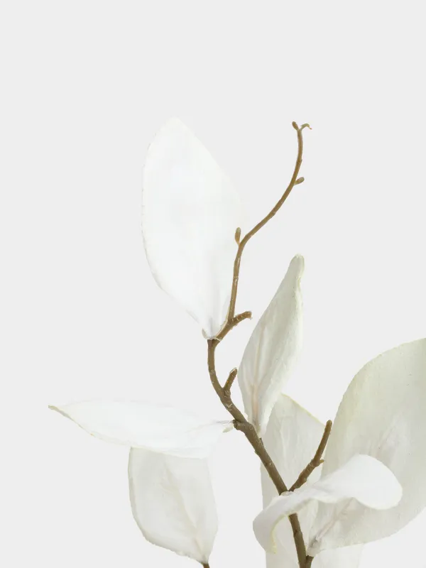 Ветка декоративная, 80 см, Белые листья, Broadleaf decor, image-4