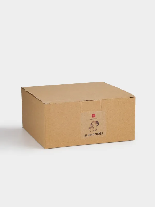 Салат ыдысы, 17х7 см, мл, керамика, сүт түстес, Саңырауқұлақтар, Slight frost, image-5