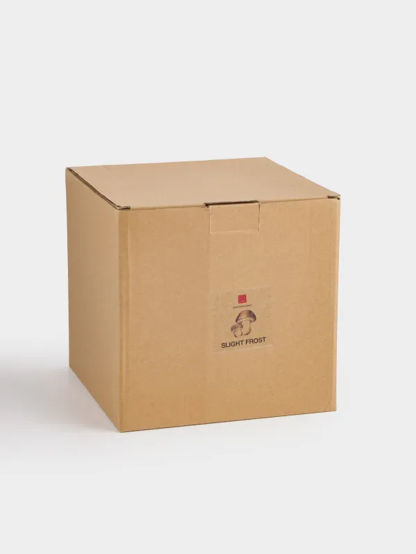 Емкость для хранения, 17х15 см, 1,2 л, керамика D, молочно-серая, Гриб, Slight frost, image-6