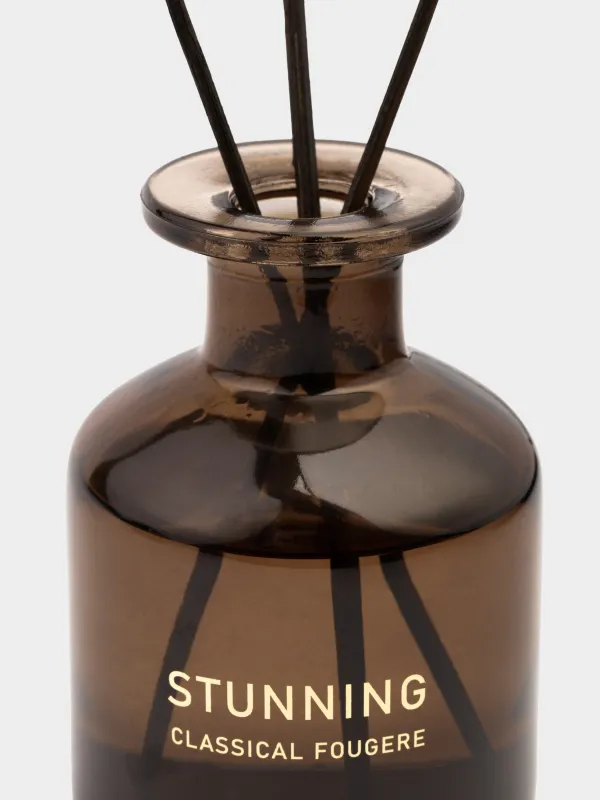 Хош иісті диффузор, 120 мл, Classical Fougere, Stunning, image-1
