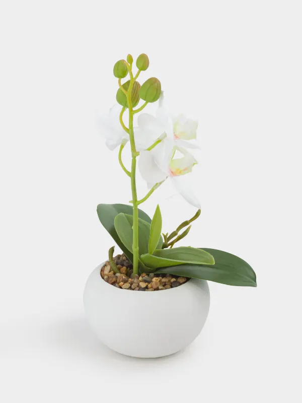 Жасанды өсімдік, 22 см, құмырада, термопластикалық резеңке/керамика, Ақ орхидея, Orchid, image-3