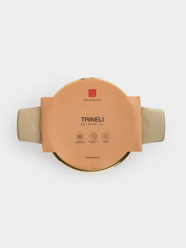 Кастрюля, 20 см, 2,3 л, с крышкой, с покрытием, алюминий, золотистая, Trineli, image-4