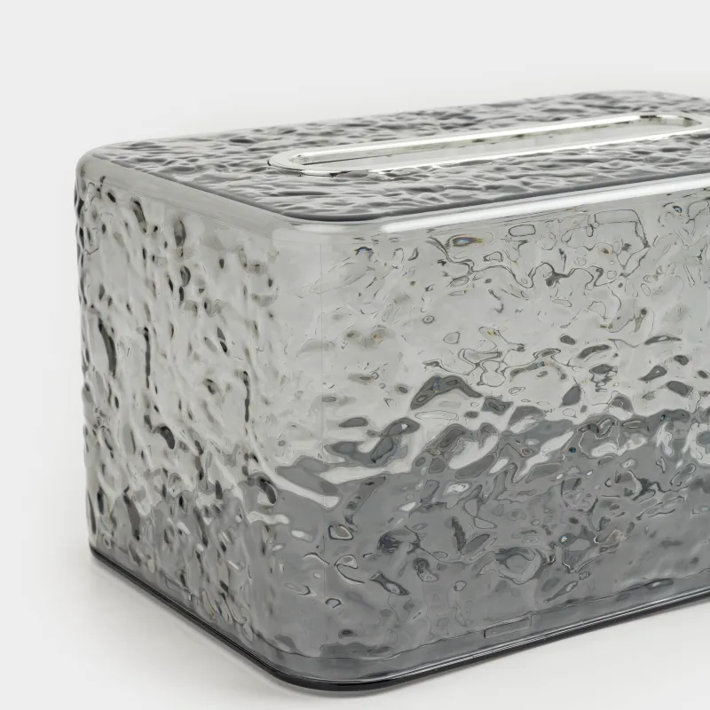 Қағаз майлықтарға арналған қорап, 19х12 см, серіппесі бар, пластик/металл, сұр, Renaissance clear, image-2