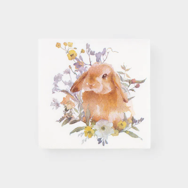 Қағаз майлықтар, 21х21 см, 20 дана, төртбұрышты, ақ, Қоян, Natural Easter