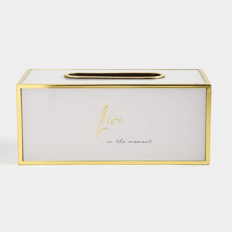 Қағаз майлықтарға арналған қорап, 24х13 см, пластик/шыны, сүт-алтын түстес, Live, Fardella