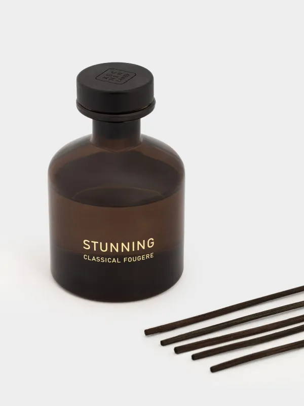 Хош иісті диффузор, 200 мл, Classical Fougere, Stunning, image-2