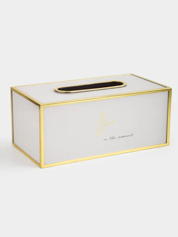 Қағаз майлықтарға арналған қорап, 24х13 см, пластик/шыны, сүт-алтын түстес, Live, Fardella, image-3