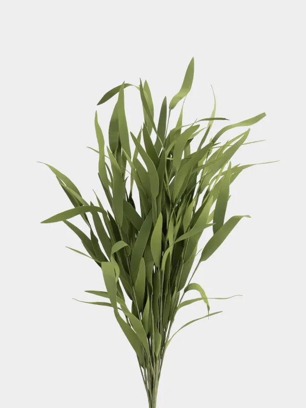 Сәндік бұтақ, 68 см, пенопласт/металл, Эвкалипт, Leafs decor, image-1