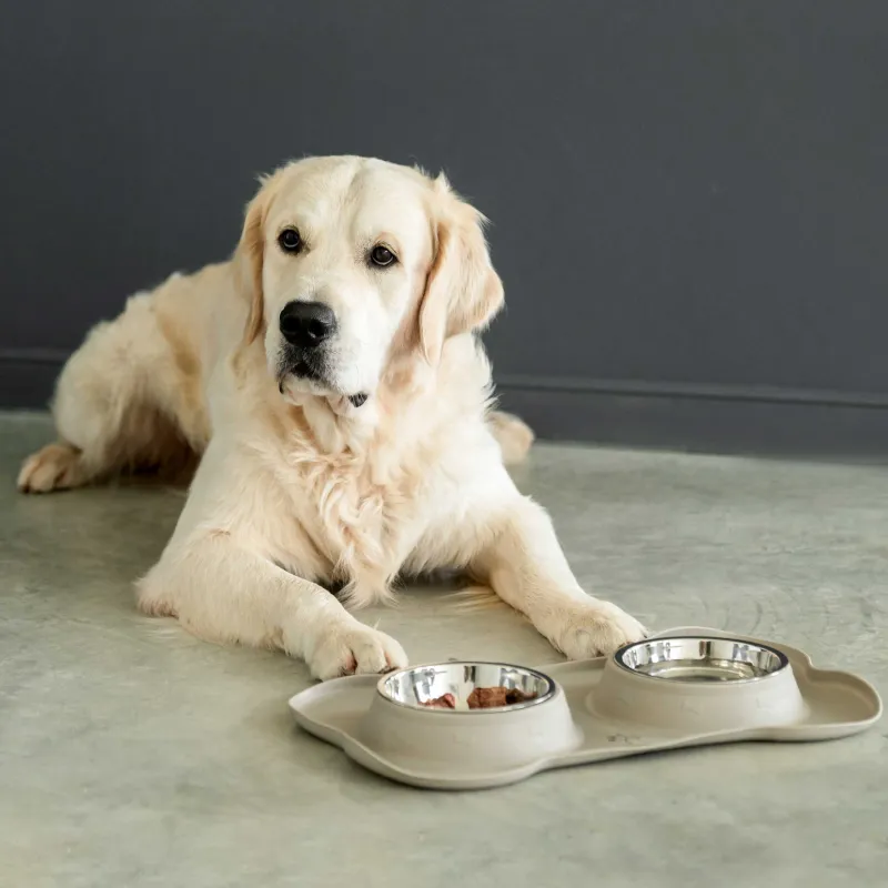 Миска для животных, 46х27 см, 375 мл, двойная, на подставке, сталь/резина, серая, Favorite pet, image-3