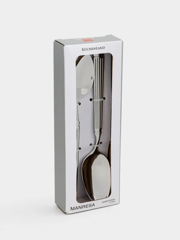 Ложка столовая, 2 шт, сталь, Полосы, Manresa, image-4