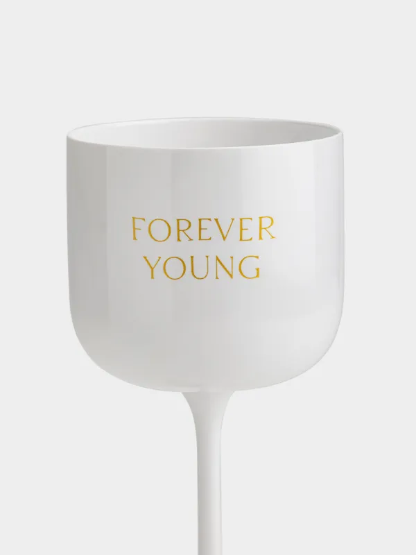 Шарап бокалы, 320 мл, пластик, Forever young, курс, image-1