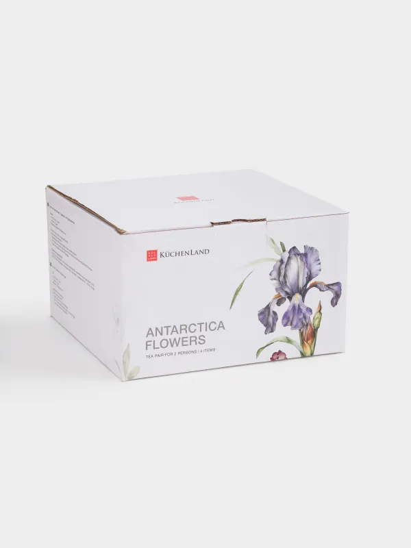 Шай жұбы, 2 адам, 4 зат, 300 мл, фарфор F, күміс жиектері бар, Құртқашаш, Antarctica Flowers, image-6