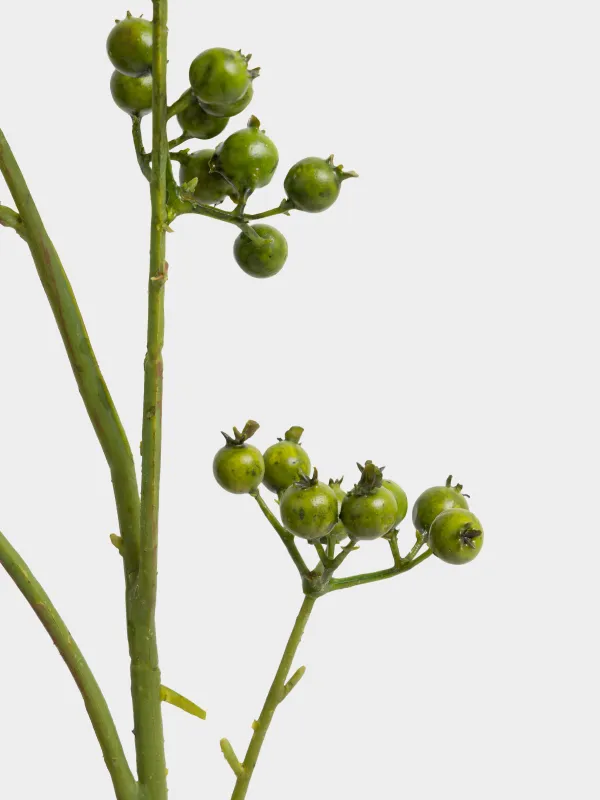 Сәндік бұтақ, 1 м, пенопласт/пластик, Жасыл жидектер, Balls decor, image-2