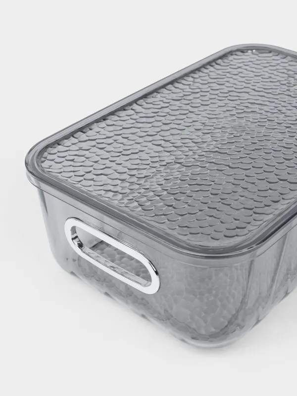 Ящик-органайзер, пластик, серый, Renaissance clear, image-5