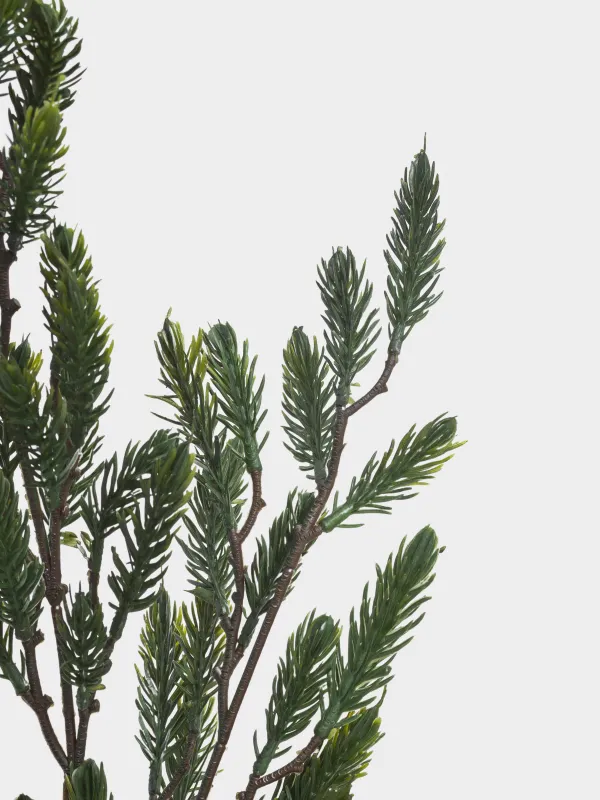 Сәндік бұтақ, 81 см, пластик, Шырша, Conifer decor, image-3