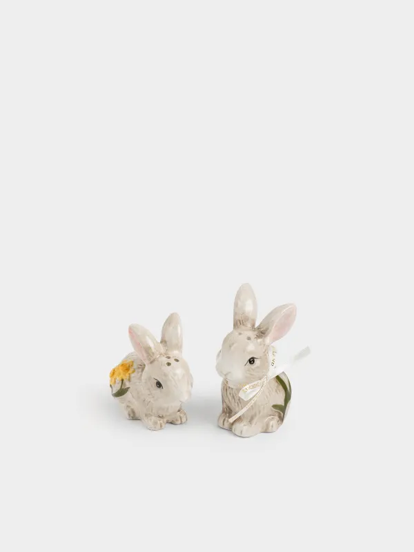 Тұз және бұрыш жиынтығы, 10 см, керамика, сарғылт-қоңыр, Гүлдері бар қояндар, Rabbit in narcis, image-2