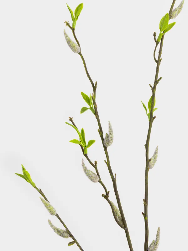 Сәндік бұтақ, 1 м, пластик/металл, Жапырақтар, Leafs decor, image-3