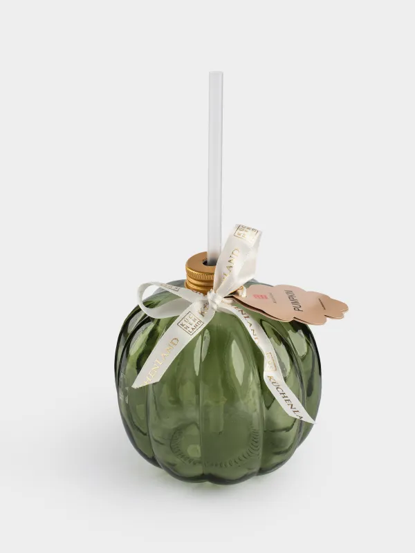 Сусындарға арналған құты, 600 мл, қақпағы мен сабаны бар, шыны, жасыл, Асқабақ, Pumpkin, image-3