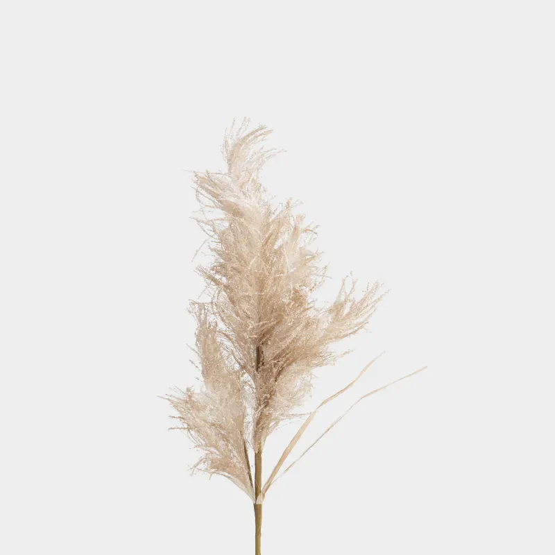 Сәндік бұтақ, 1 м, полиэстер/қағаз, Пампа шөбі, Meadow decor, image-2