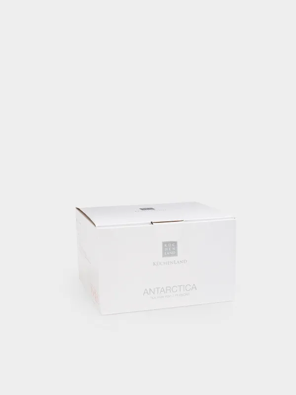 Шай жұбы, 2 тұлға, 4 зат, 250 мл, фарфор F, Antarctica, image-4