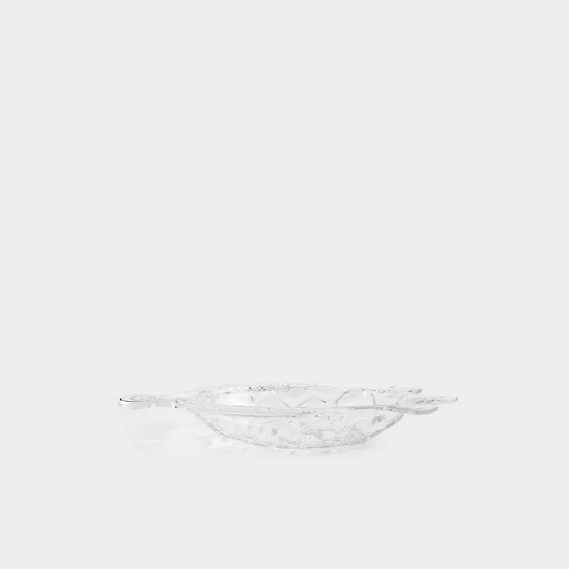 Сәндік ыдыс, 26х20х5 см, шыны Р, Тасбақа, Paradise island, image-5