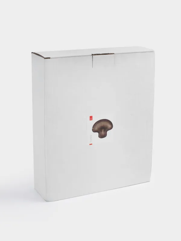 Сәндік ыдыс, 20х17х3 см, шыны, қоңыр, Саңырауқұлақ, Fungi, image-5