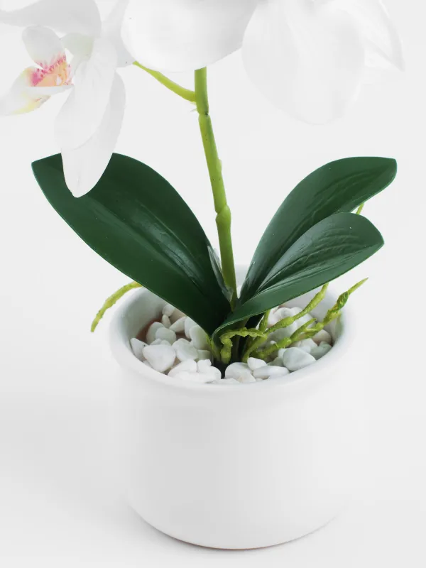 Растение искусственное, 25 см, полиэстер/керамика, Orchid, image-2