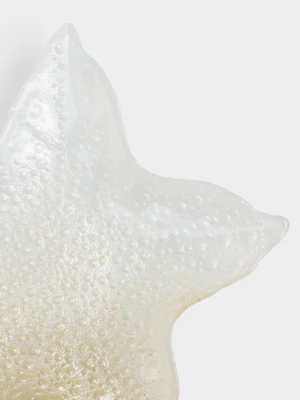 Ыдыс, 34х5 см, шыны, түсі, Жұлдыз, Starfish, image-2
