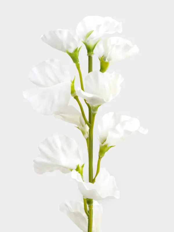 Сәндік бұтақ, 70 см, пластик/полиэстер, Ақ лизиантус, Flower garden, image-2