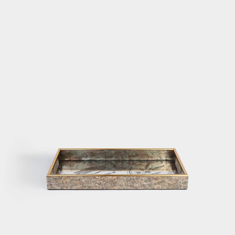 Науа, 25х40 см, пластик/шыны, тікбұрышты, айна, Құс, Bluebird