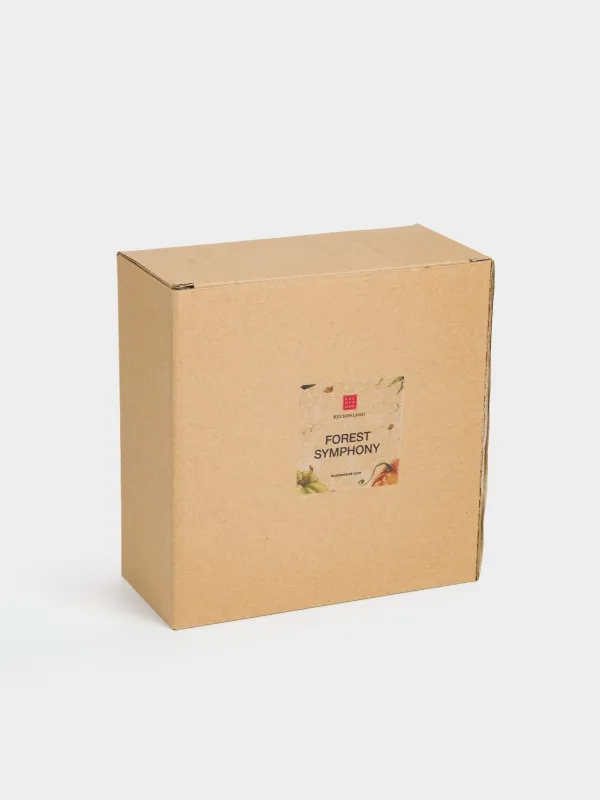 Салат ыдысы, 15х5 см, мл, керамика, апельсин, Асқабақ, Forest symphony, image-5