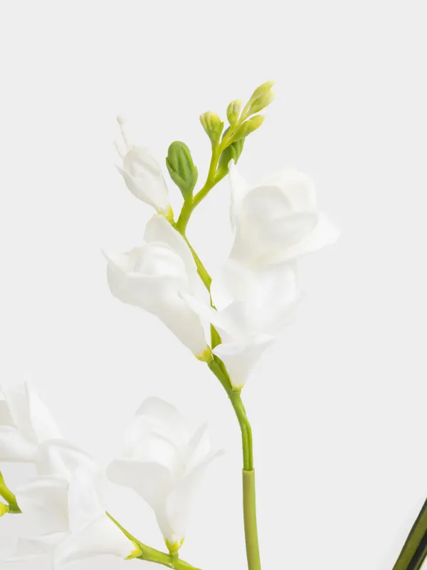Ветка декоративная, 75 см, Белая фрезия, Flower garden, image-3