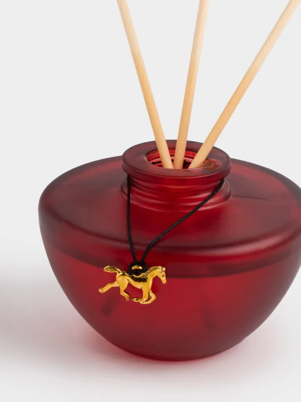 Хош иісті диффузор, 100 мл, аспасы бар, қызыл, Хош иіс, Жылқы, Important, image-3