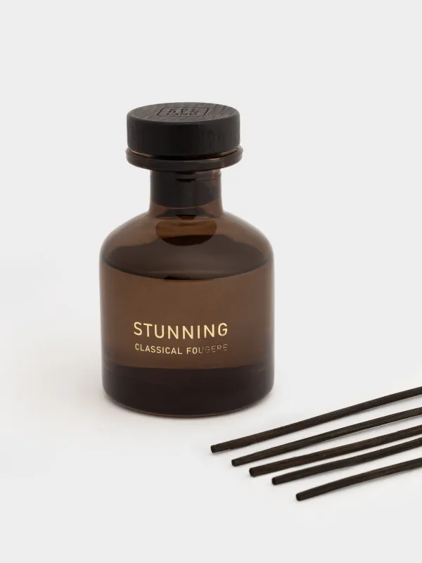 Хош иісті диффузор, 120 мл, Classical Fougere, Stunning, image-2