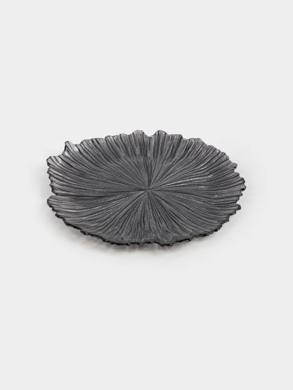 Тіскебасар тәрелкесі, 28 см, шыны Р, сұр, Verge, image-4