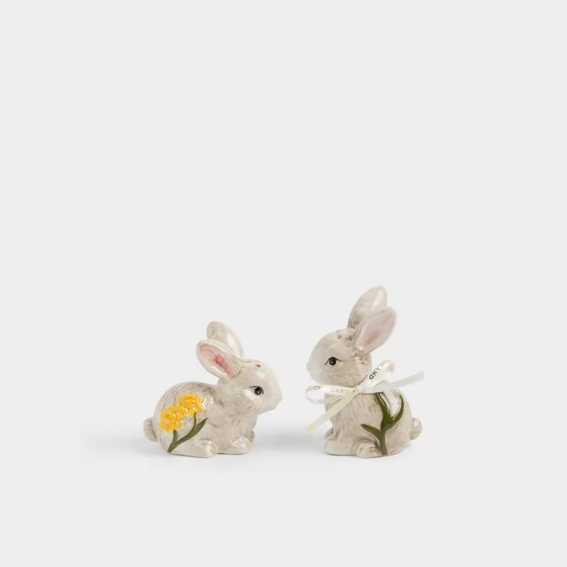 Тұз және бұрыш жиынтығы, 10 см, керамика, сарғылт-қоңыр, Гүлдері бар қояндар, Rabbit in narcis