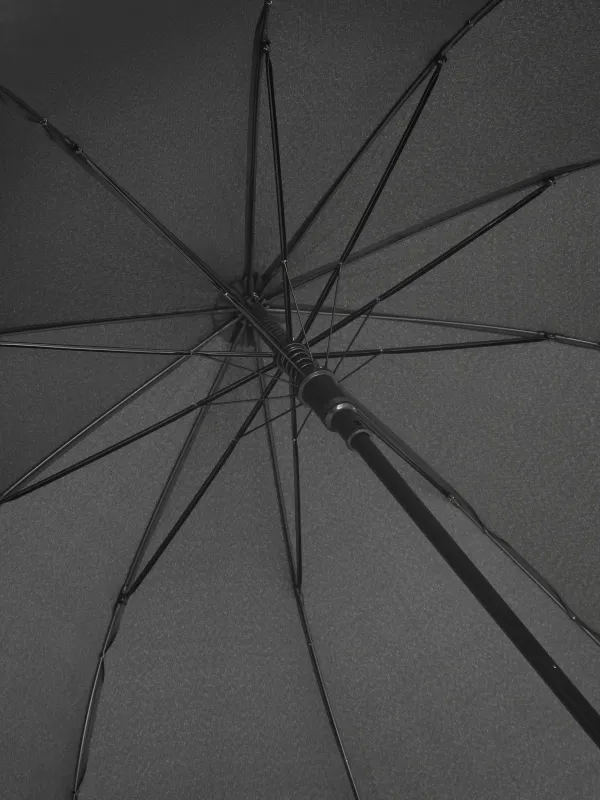 Қолшатыр-таяқ, 86 см, эпонжеж, қара, Ray light, image-1